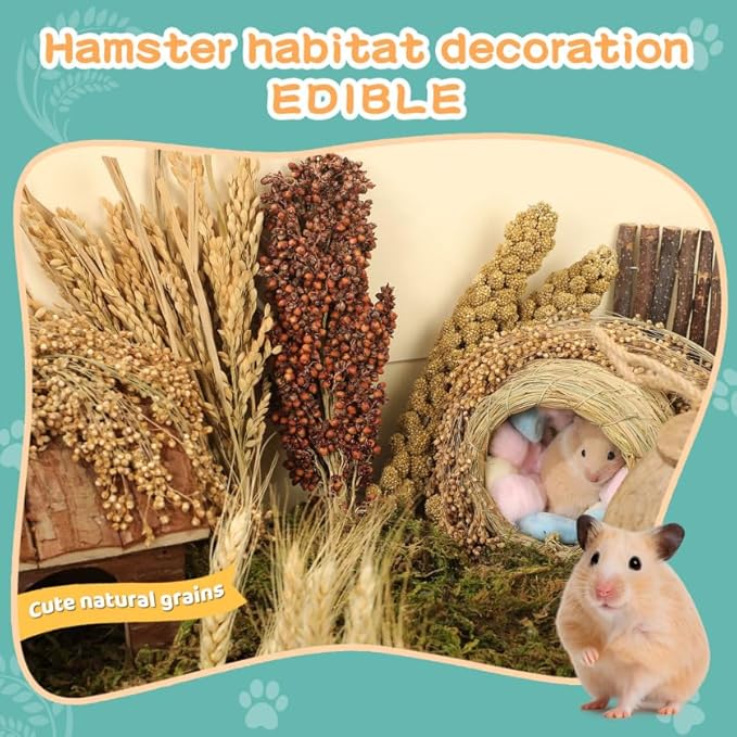 Hamster Spray Set - Natural Snack Grains & Chew Toys for Cage Decoration Accessories, Soft Bedding for Dwarf Syrian Hamsters, Gerbils, Mice & Small Pets-Mewly Pet