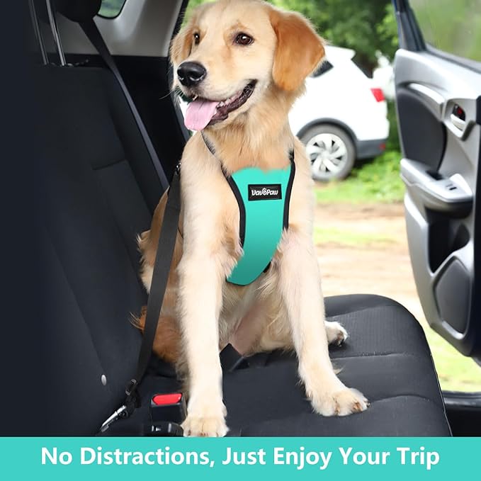 Dog Seat Belt, Safety Vest Dog Car Harness with Adjustable Buckle Dog Seat Belt for Vehicle Nylon Pet Safety Seat Belts Heavy Duty(XXL, Blue)-Mewly Pet