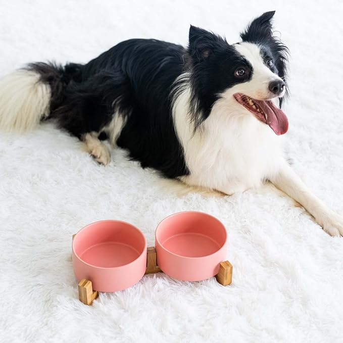 SPUNKYJUNKY Ceramic Dog and Cat Bowl with Wood Stand Non-Slip Matte Glaze Weighted Food Water Set for Cat Medium Dog 28.7 OZ-Mewly Pet