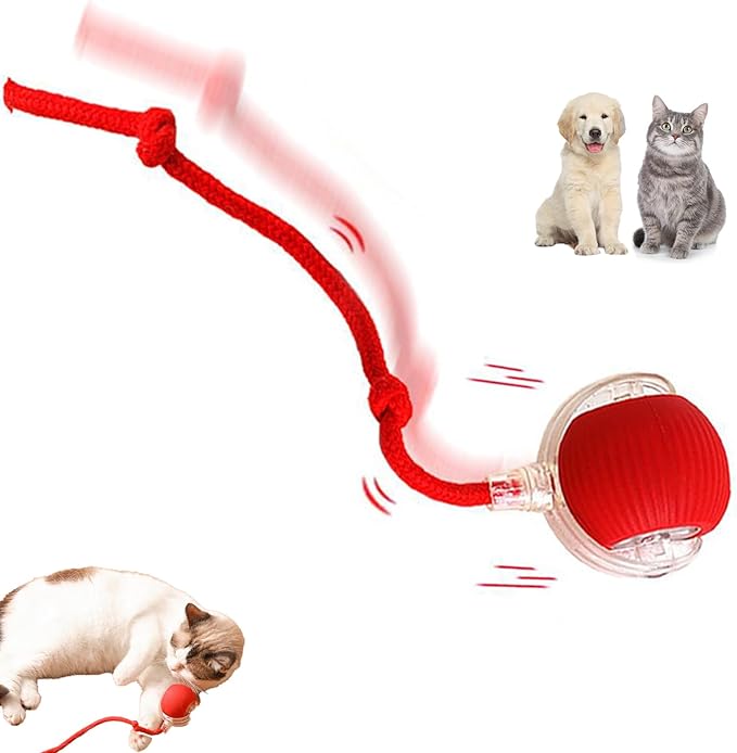 Interactive Cat Toy Ball for Indoor Cats - 3-Speed Smart Rolling Ball with Flashing Lights, USB Rechargeable Automatic Motion Kitten Toys for Bored Adult Cats & Playful Kittens-Mewly Pet