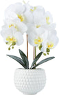 Large Artificial Orchids with Ceramic Pot, Faux Orchids for Living Room, Bathroom, Kitchen, Home, Hotel Indoor Decor (17'' White)