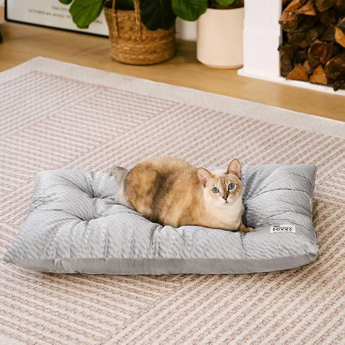FUNNY FUZZY 2 in 1 Dog Bed Crate Pad Mat, Washable Reversible Floor Pet Mats,Fluffy Kennel Pad for Small Large Sized Dog,Indoor Cats,Sleeping Mattress, 23.6" × 17.9", Light Grey-Mewly Pet