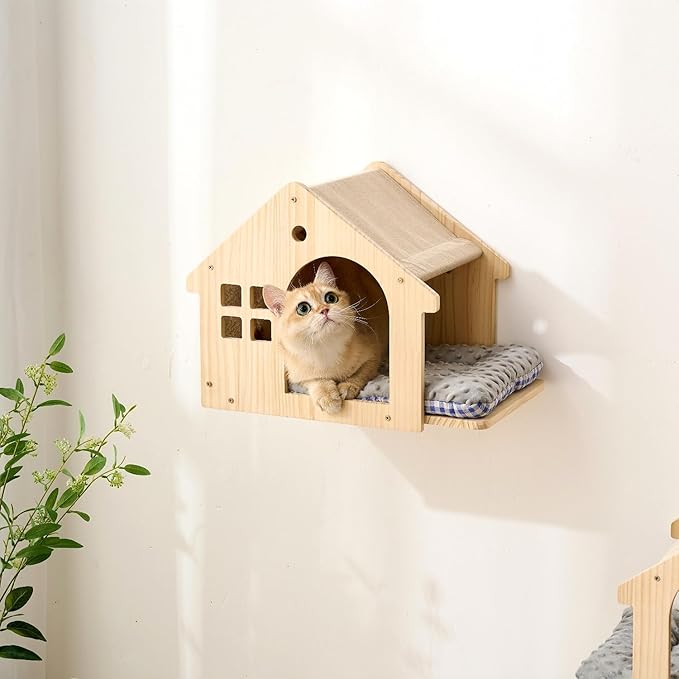 SHENGOCASE Natural Wood Cat Wall Shelves Bed, 2-Pack, Wall-Mounted Box House Perch, Cat Condo Furniture with Washable Pillow Cushions-Mewly Pet
