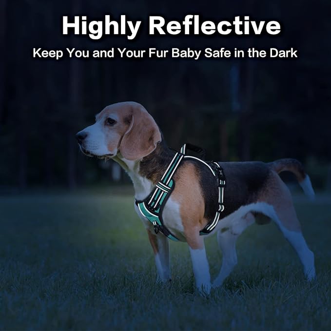 PoyPet No Pull Dog Harness, No Choke Front Clip Reflective Dog Vest with Soft Padded Vertical Handle, 3 Leash Attachments for Small Medium Large Dogs (Mint Blue,M)-Mewly Pet