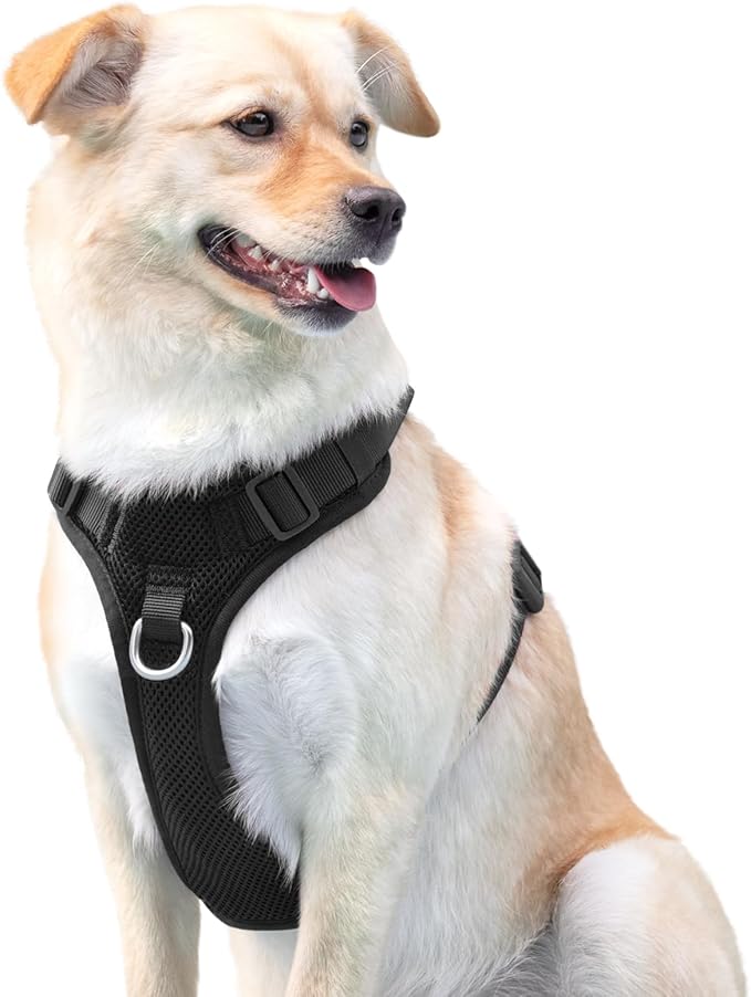 No Pull Dog Harness for Small Medium Large Dogs - Adjustable Two-Layer Mesh Dog Vest with Dual Clip, Escape Proof, Quick Release, Lightweight Breathable Mesh for Walking Hiking (Black,XL)-Mewly Pet