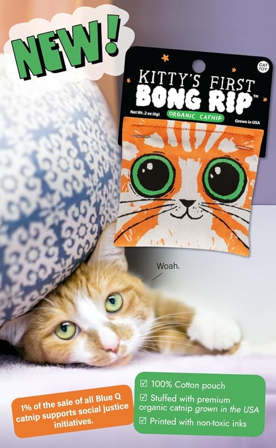 Blue Q Kitty's First Bong Rip Catnip Cat Toy. Premium Organic Catnip Grown in The USA, 100% Cotton Pouches, Kitty Graphics Sure to Delight Every Cat-Keeper.-Mewly Pet