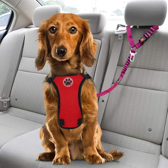 SlowTon Dog Seat Belt, 2 Pack Harness Seatbelt Adjustable With Elastic Bungee Buffer, 2 in 1 Pet Car Leash Headrest Restraint Reflective Safety Tether (Fushia, Dual Restraint)-Mewly Pet