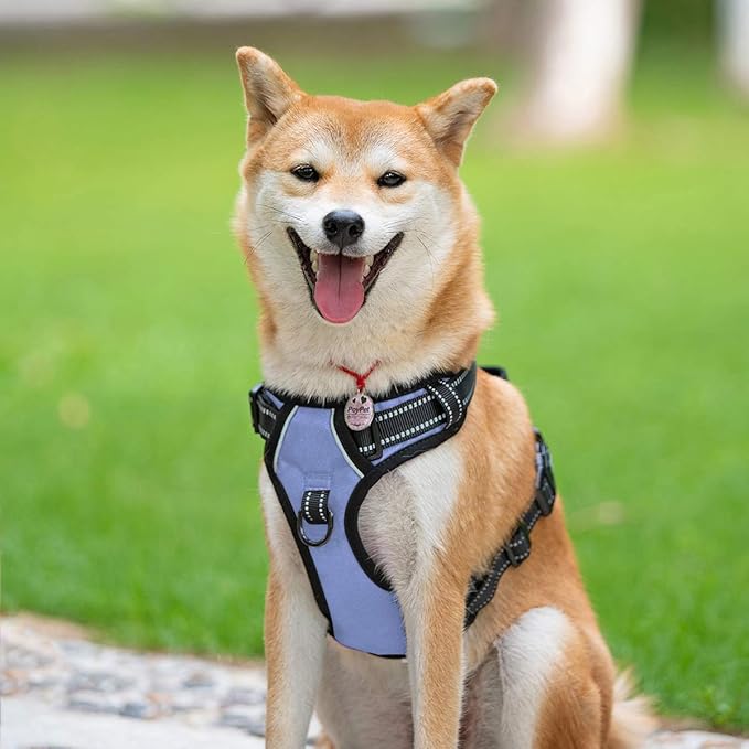 PoyPet No Pull Dog Harness, Reflective Comfortable Vest Harness with Front & Back 2 Leash Attachments and Easy Control Handle Adjustable Soft Padded Pet Vest for Small to Large Dogs (Light Blue,L)-Mewly Pet