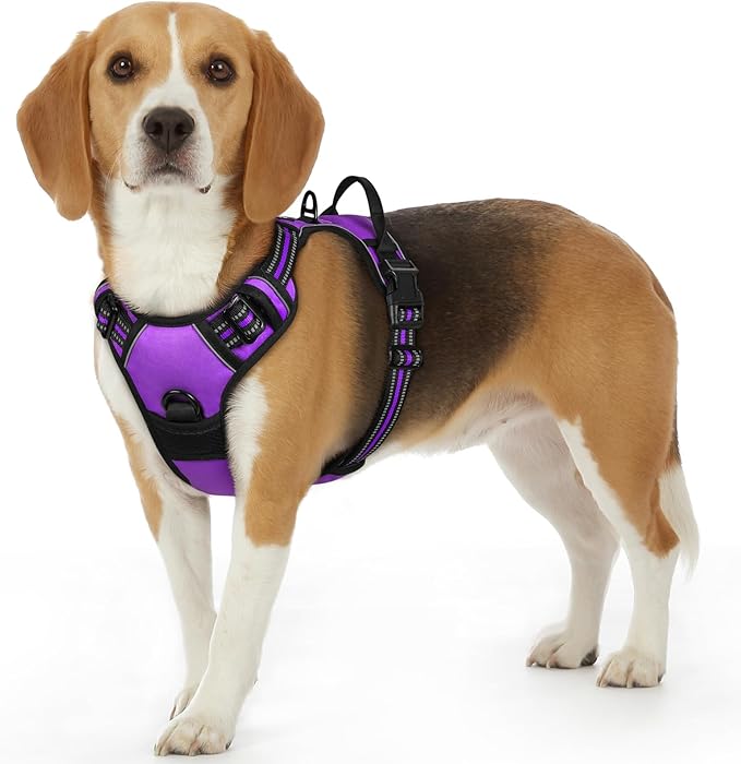 Eagloo Dog Harness Small Sized Dog, No Pull Service Vest with Reflective Strips and Control Handle, Adjustable and Comfortable for Walking, No Choke Pet Harness with 2 Metal Rings, Purple, S-Mewly Pet