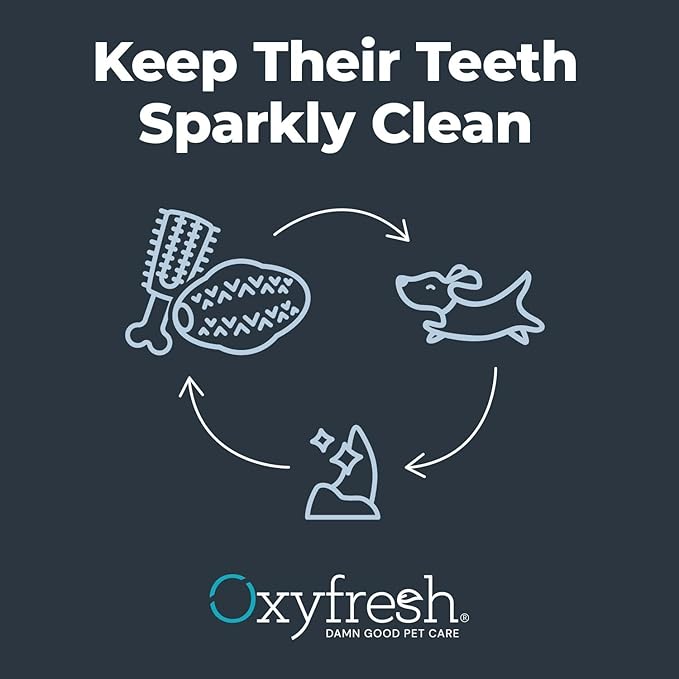 Oxyfresh Dog Dental Chew Toy - Best Durable Rubber Dog Toy & Puppy Teething Toy - Helps Remove Plaque, Cleans Teeth & Freshens Breath Without Brushing (Small)-Mewly Pet