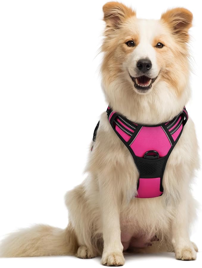 rabbitgoo Dog Harness No Pull with 2 Leash Clips, Adjustable Soft Padded, Reflective Oxford No Choke Pet Vest with Easy Control Handle for Medium Sized Dogs, Hot Pink, M-Mewly Pet