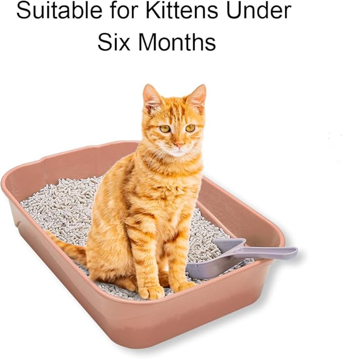 Kitty Litter Box Starter Kit - Small Cat Litter Pan Without Lid, Litter Mat, Scoop and Bowl for Kitten Within 3 Months (PinkScoop Set)-Mewly Pet