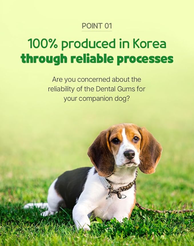 SSOMDALPET Chap Chap Dental Gum for Dogs, 30 Chews | Soft & Chewy, Dental Care Treat, Large Pack, Joint & Bone, Eye & Skin, Gut & Probiotics Options (30 Count, Joint & Bone (Green/Apple))-Mewly Pet