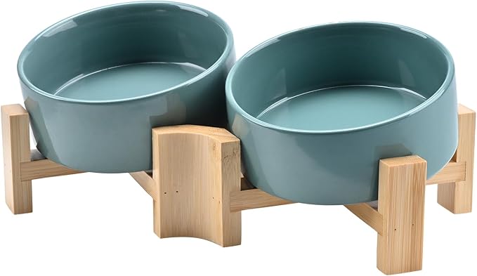 SPUNKYJUNKY 15° Slanted Ceramic Dog and Cat Bowl with Wooden Stand, Tilted Bulldog Food and Water Bowl No Slip Non-Spill for Cats Medium Dogs Big Face Pets 13.5 OZ (1.7 Cups, Light Green × 2)-Mewly Pet