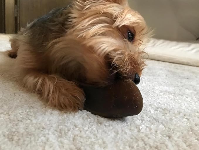 Full-Size Cow Hooves for Dogs | (5 Pack) All-Natural Long Lasting Dog Chews | Made from Grass Fed Cattle | Tasty Treat for Oral Hygiene | Fantastic Alternative for Rawhide and Bully Sticks-Mewly Pet