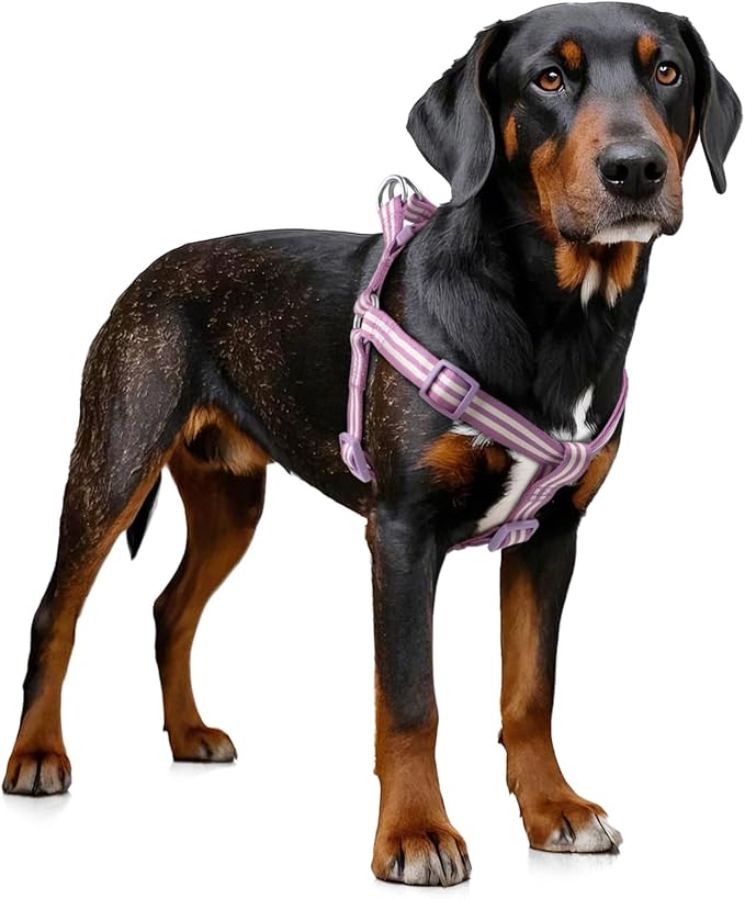 Stripe Step in Dog Harness for Small Dogs, Freedom Nylon Dog Halter Vests, Lightweight and Escape Proof Puppy Harness, Quick Fits for Small Medium and Large Dogs, Purple L-Mewly Pet
