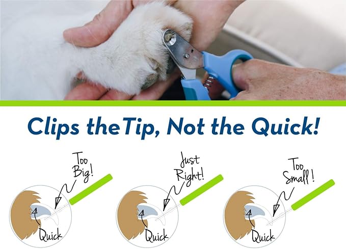 Zen Clipper Pet Nail Clipper for Dogs – Dog Nail Trimmer for Safer Pet Grooming Care - Clean, Quiet, and Easy-to-Use Stainless Steel Claw Trimmer - (4mm Hole)-Mewly Pet