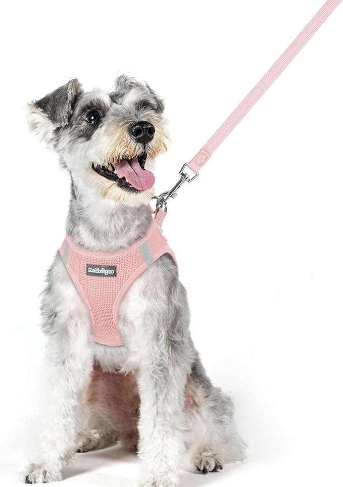 rabbitgoo Dog Harness Small Sized and Leash Set, Step in Soft Light Puppy Vest, Breathable Mesh Pet Harness, Reflective for Outdoor Safe Walking, Pink XL-Mewly Pet