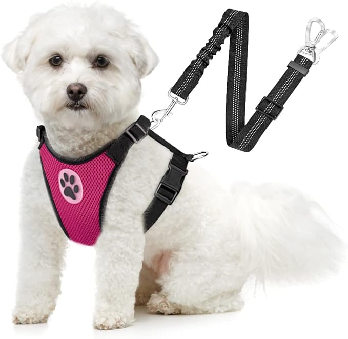 SlowTon Dog Seat Belt Harness for Car, Dog Car Harness Adjustable Mesh Breathable & Dog Seatbelt Safety Tether with Elastic Bungee for Small Medium Large Pets(Fuchsia, Double Clip, L)-Mewly Pet