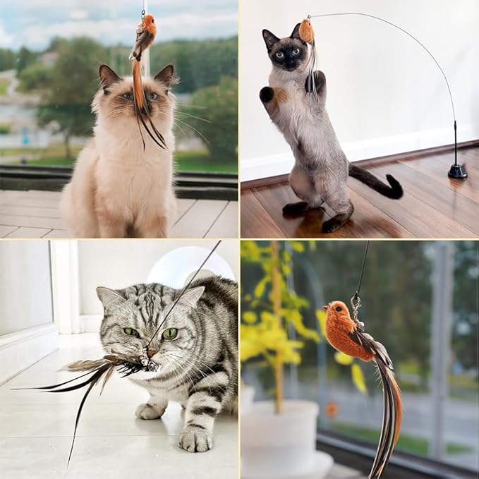 Leo's Paw The Original Interactive Bird Simulation Cat Toy Set Realistic Colorful Feathers Bells Wand Self-Holding Suction Base Stimulating Real-Life Flying Bird Impression Hunting Play (w. 5 Birds)-Mewly Pet