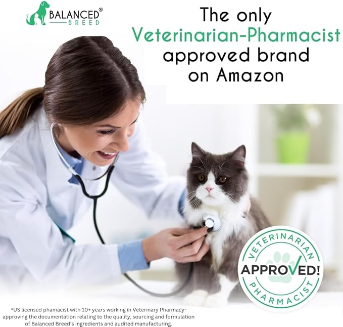 Balanced Breed L-Lysine Cats Immune Support Soft Chews Made in USA Vet-Pharmacist Approved Seasonal Allergy Relief Cat Vitamins Indoor Cats Supplements Krill Oil Asthma Relief Cat Lysine Treats NonGMO-Mewly Pet
