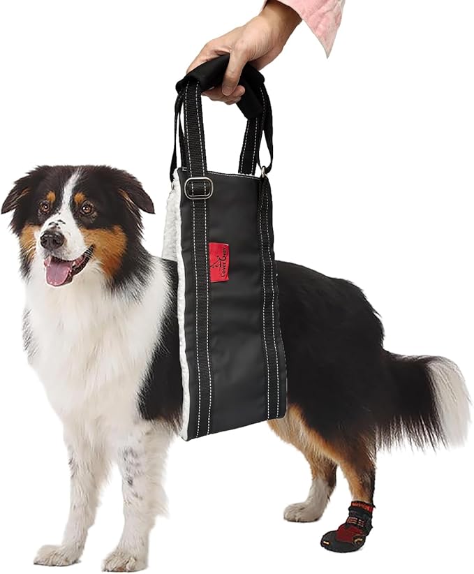 Leather Dog Lift Harness,Sling for Large Dogs Hind Leg Support,Support Harness for Back Legs,Dog Rear Lift Harness Assist for Senior,Injured,Post ACL,TPLO Surgery Recovery Essentials,Mobility aids L-Mewly Pet