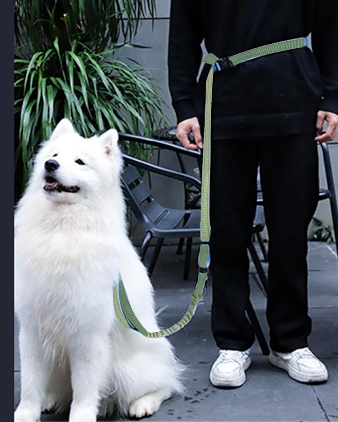Hands Free Dog Leash for Large Medium Dogs Heavy Duty Bungee Reflective Adjustable Waist Leashes for Walking Running with Car Buckle 4-6FT (Green-1)-Mewly Pet