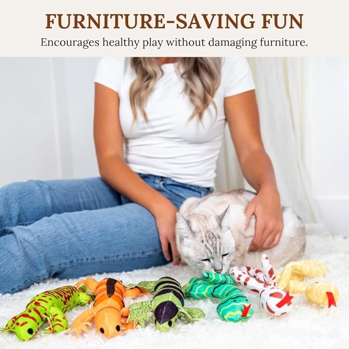 Cat Toy Snake Lizard Catnip Toys Chew Bite Resistant Toys for Indoor Cats Boredom Relief Teeth Cleaning Interactive Funny Cute Kitten Cat Lover Gifts Set of 6 Realistic Hunt Prey Activity Games-Mewly Pet