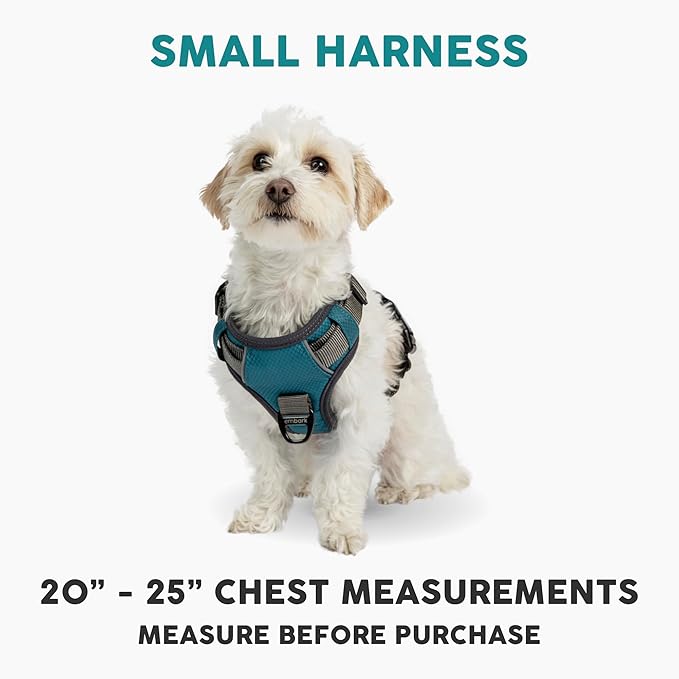 Embark Adventure Dog Harness, Easy On and Off with Front and Back Leash Attachment Points & Control Handle - No Pull Training, Size Adjustable and No Choke (Small - Teal Blue)-Mewly Pet