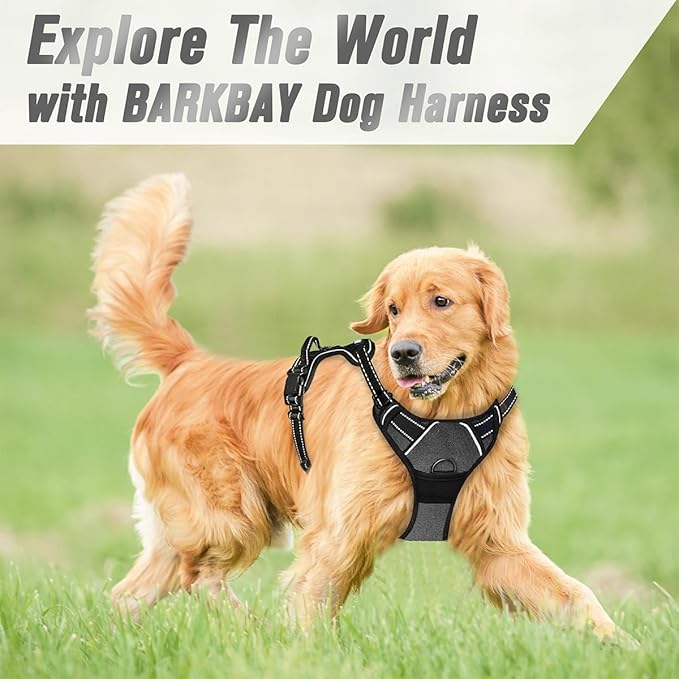 BARKBAY No Pull Dog Harness Front Clip Heavy Duty Reflective Easy Control Handle for Large Dog Walking(Dark Grey,XL)-Mewly Pet