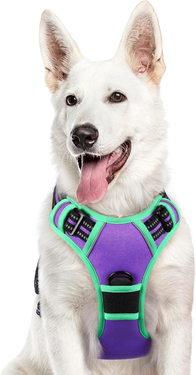 Eagloo Dog Harness for Large Dogs, No Pull Service Vest with Reflective Strips and Control Handle, Adjustable and Comfortable for Walking, No Choke Pet Harness with 2 Metal Rings, Purple & Green, XL-Mewly Pet