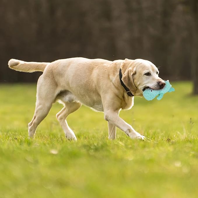DODODOLA Cute Stuffed Hippo Dog Toys Squeaky Dog Toys with Crinkle Paper Dog Plush Toys for Large Breed Dog Chew Toys for Small, Medium, Large Dogs-Mewly Pet