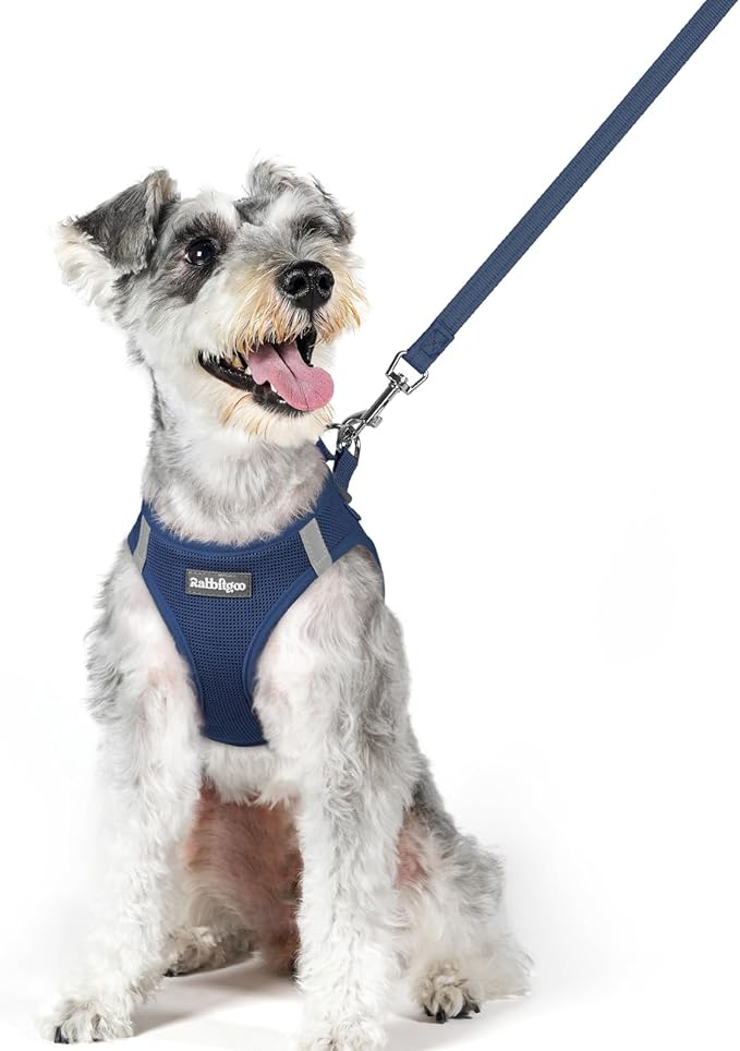 rabbitgoo Dog Harness Small Sized and Leash Set, Step in Soft Light Puppy Vest, Breathable Mesh Pet Harness, Reflective for Outdoor Safe Walking, Navy Blue XL-Mewly Pet