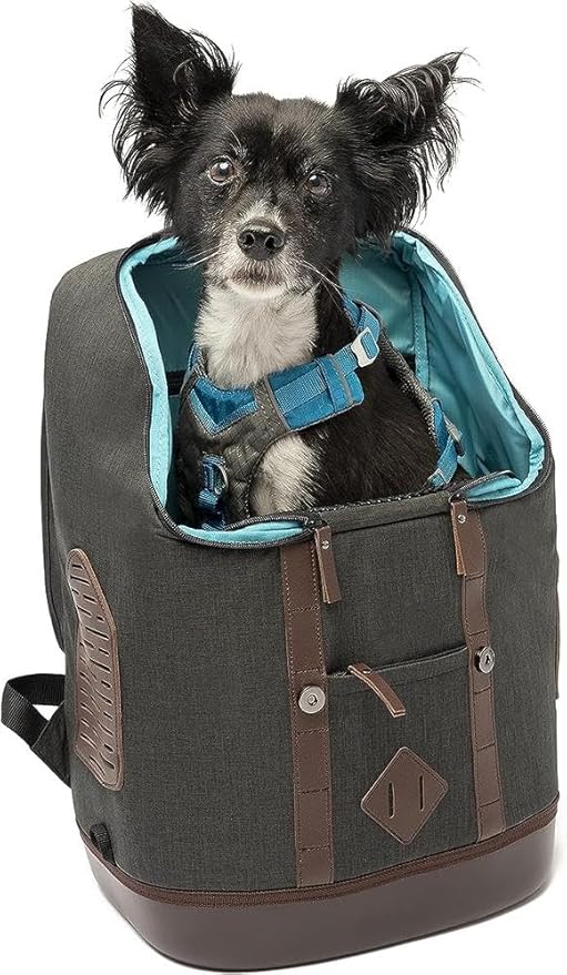 Kurgo Dog Carrier Backpack for Small Pets - Dogs & Cats | Cat | Hiking or Travel | Waterproof Bottom | K9 Ruck Sack (Heather Black)-Mewly Pet