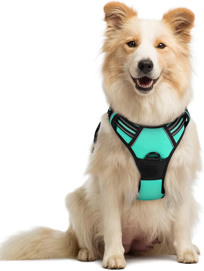 rabbitgoo Dog Harness No Pull with 2 Leash Clips, Adjustable Soft Padded, Reflective Oxford No Choke Pet Vest with Easy Control Handle for Medium Sized Dogs, Turquoise, M-Mewly Pet