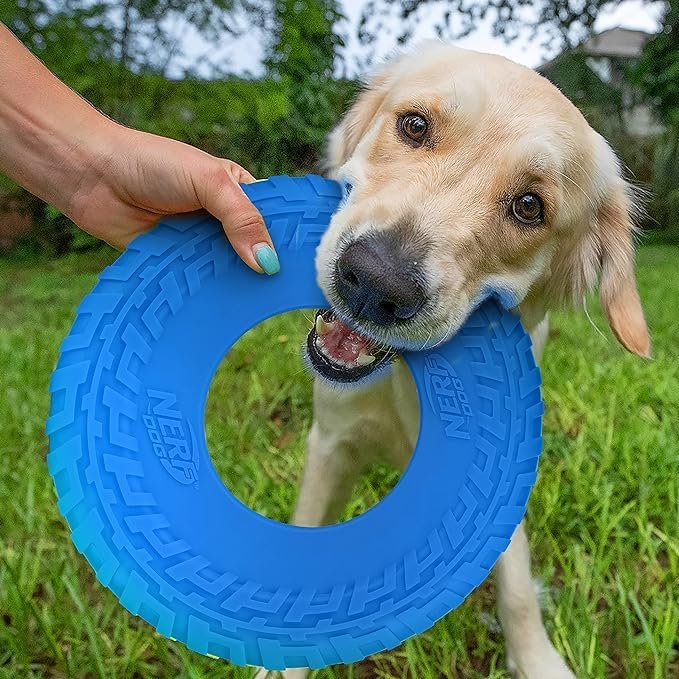 Nerf Dog Tire Flyer Outdoor Dog Toy, 10 Inch Flying Disc Dog Fetch Toy, Rubber Dog Toy for Medium Dogs and Large Dogs, Blue-Mewly Pet
