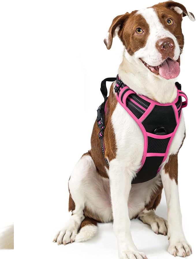 rabbitgoo Dog Harness No Pull with 2 Leash Clips, Adjustable Soft Padded, Reflective Oxford No Choke Pet Vest with Easy Control Handle for Large Dogs, Black & Hot Pink, L-Mewly Pet