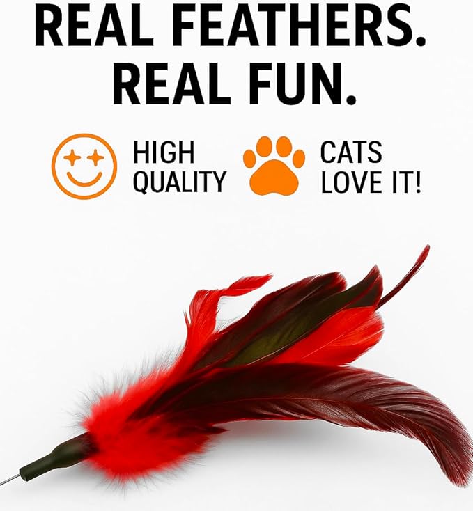 Cat Wand Toy Feather Sticks - 5 Piece Interactive Wands Toy Set with Feathers, Durable Spring Design - Perfect for Engaging Playtime Fun for Kittens and Cats - Cat Toys for Indoor Cats-Mewly Pet
