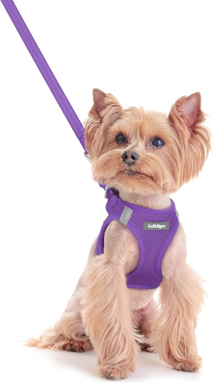 rabbitgoo Dog Harness Small Sized and Leash Set, Step in Soft Light Puppy Vest, Breathable Mesh Pet Harness, Reflective for Safe Outdoor Walking, Purple XXS-Mewly Pet