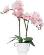 CXGS Orchids Artificial Flowers Real Touch Fake Flowers in Ceramic Pot 20" Pink Faux Orchid Plant Lifelike Silk Phalaenopsis for Centerpiece Hotel Home Indoor Decor