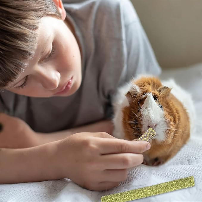 Sofier Timothy Hay Sticks - 44Pcs Natural Chews for Teeth - Handmade Rabbit & Guinea Pig Toys - Chinchilla, Rat, Hamster, Gerbil-Mewly Pet