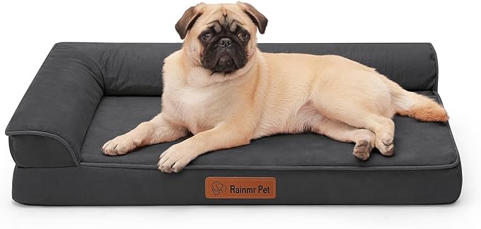 Chew Proof Dog Bed, 3" Memory Foam Dog Bed for Small and Medium Dogs, Removable and Washable Microsuede Cover, Waterproof Liner, Nonskid Bottom, 35x23 Inches M Dark Grey-Mewly Pet