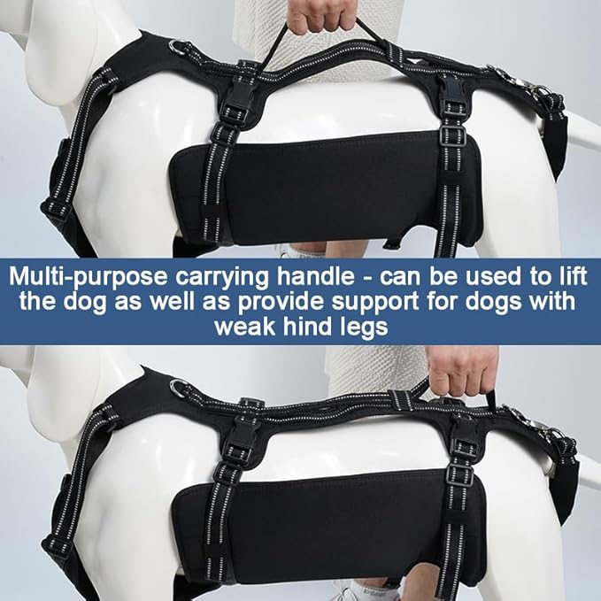 Coodeo Dog Lift Harness, Support & Recovery Sling, Pet Rehabilitation Lifts Vest Adjustable Breathable Straps for Old, Disabled, Joint Injuries, Arthritis, Paralysis Dogs Walk (Black,XL)-Mewly Pet