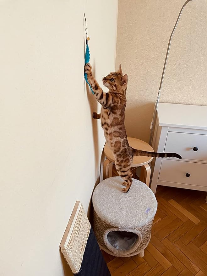 24 PCS Cat Worm Toy Refills Cat Wand Toy Replacement Interactive Wand Accessories Feather Worm Teaser Refills Attachment-Mewly Pet