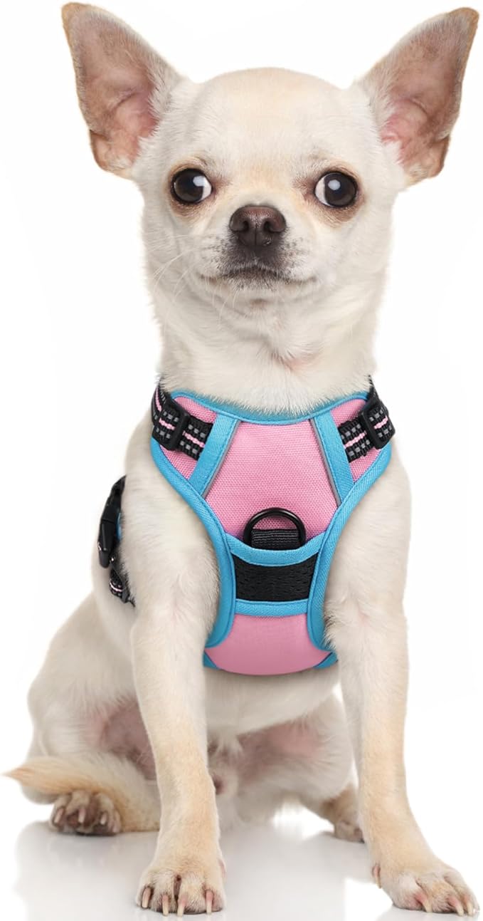 rabbitgoo Dog Harness No Pull with 2 Leash Clips, Adjustable Soft Padded, Reflective Oxford No Choke Pet Vest with Easy Control Handle for Puppy, Pink & Blue, XS-Mewly Pet