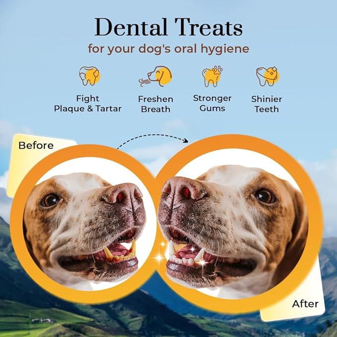 Dogsee Original Himalayan Yak Cheese Dog Chews (Small - 3 Bars) | Fights Plaque and Tartar| Yak Chews for Small Dogs | Rawhide Free | Easily Digestible Dog Treats-Mewly Pet