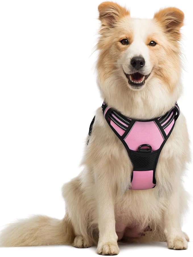rabbitgoo Dog Harness No Pull with 2 Leash Clips, Adjustable Soft Padded, Reflective Oxford No Choke Pet Vest with Easy Control Handle for Medium Sized Dogs, Pink, M-Mewly Pet