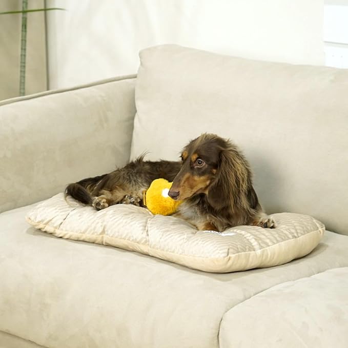 FUNNY FUZZY 2 in 1 Dog Bed Crate Pad Mat, Washable Reversible Pet Floor Mats,Fluffy Kennel Pad for Small Large Sized Dog,Indoor Cats,Sleeping Mattress, 23.6" × 17.9", Beige-Mewly Pet