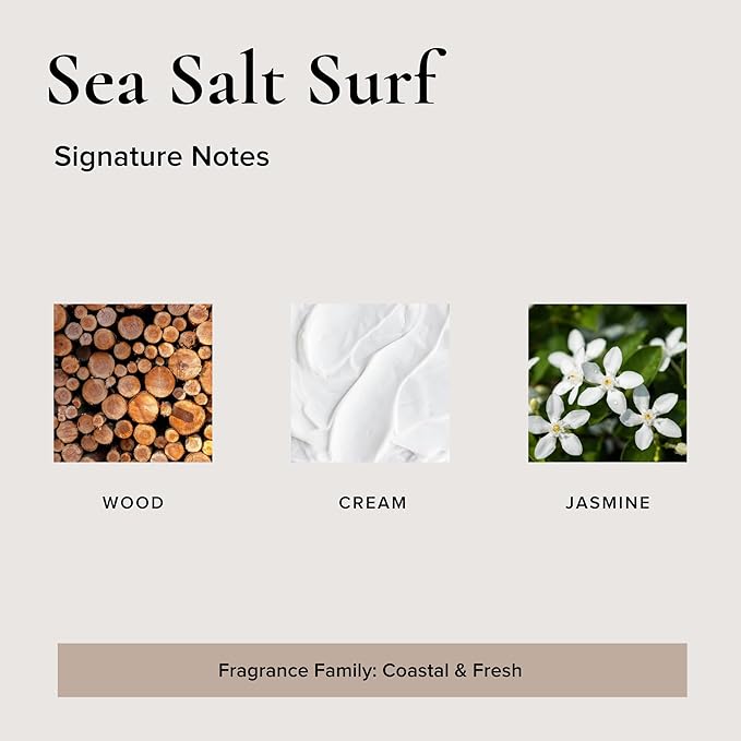 Broken Top Botanical Car Air Freshener Variety Pack, 6 Pack (2 Coconut Sandalwood, 2 Saguaro Cactus, 2 Sea Salt Surf)-Mewly Pet