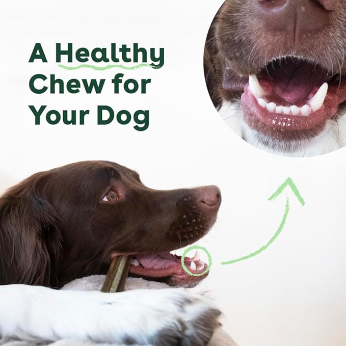 Pupford Dental Chews for Dogs, All-Natural 4-Inch Sticks for Plaque, Tartar & Bad Breath, Grooved Texture, Limited Ingredients, Made in USA (14 Count)-Mewly Pet